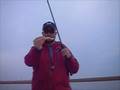 videos de Texas Tidal Trout