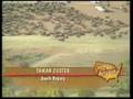 VOA TV - Keliling Amerika - Eps. 3