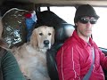 Ektoras our Golden Retriever