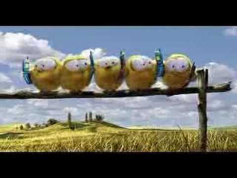 Tennis - Kücken