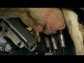 SAC RDS  Futureline Milking Robot Manele-Gratis.net