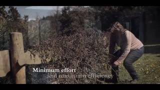 Feldenkrais and Everyday Movement