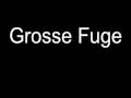 Ludwig Van Beethoven - Grosse Fuge, Op. 133, Part I