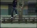 Mike Taylor dvs skatemore