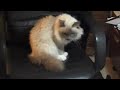 my seat - what r uz lookin at? my seat - what r uz lookin at?