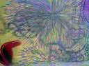 graffiti EASK FTC