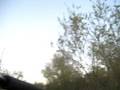 videos de Jeep de Rogelio