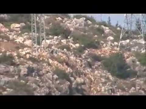 الدير والبعنه ونحف