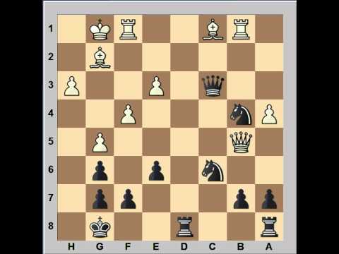 magnus carlsen