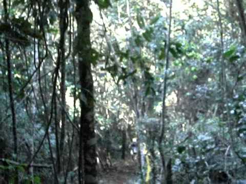 Imagem de Amostra do You Tube