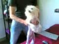 il cane ballerino dei cesaroni de tor sapienza il cane ballerino dei cesaroni de tor sapienza