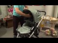 giggle LOVES the Uppababy Vista Stroller