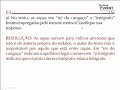 PORT 01, 02, 03 e 04 Resolu��o FUVEST 2� Fase