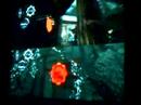 smith5348 Gears of War An Unexplainable Event