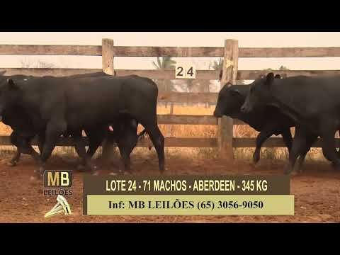 8� LEIL�O PRESENCIAL E VIRTUAL - LUCIANO DUARTE & CONVIDADOS