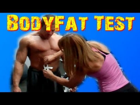how to assess body fat