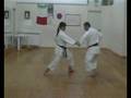 KARATE CALTANISSETTA HEIAN SANDAN BUNKAI PARTE (10)