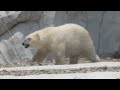 Detroit Zoo, Detroit Zoological Park, Detroit ...