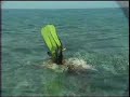 Snorkeling in Corn Island from \"Adventures in Nicaragua DVD\" Snorkeling in Corn Island from \"Adventures in Nicaragua DVD\"
