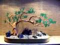 Bonsai Tree Sculpture #40 by Jim Shull