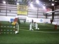 videos de Jinx Agile Canines USDAA trial June 20th-21st