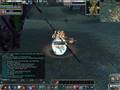 Rappelz: Lv 100 DM on Yeti