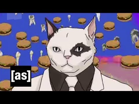Live Music Show - A tribute to Cats!