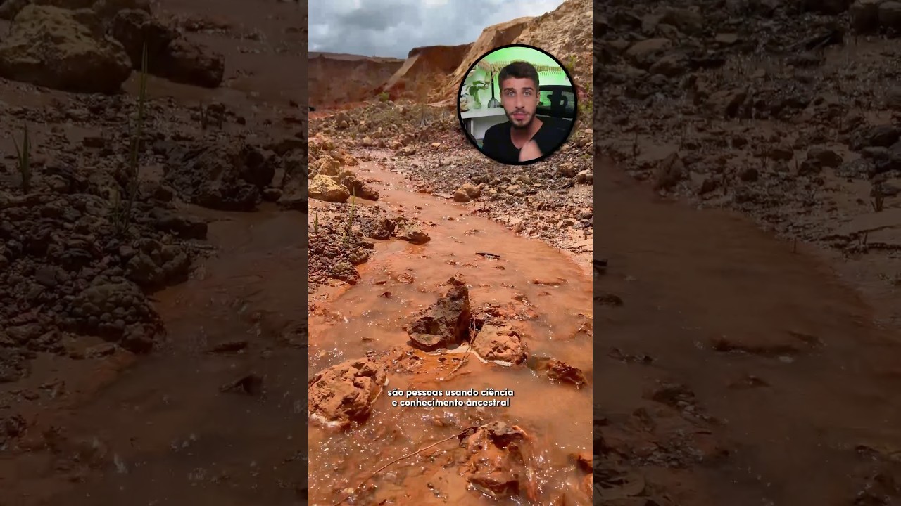 Projetos socioambientais são fundamentais para o combate dos Arrombados