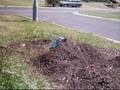 videos de Bonzer On Mulch Heap