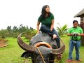 Ria on a Carabao