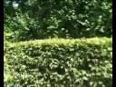 Loire et Paris 2008 Parte 4 - Uss� - Villandry - Chaumont - Azey-le-rideau