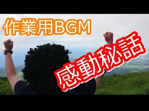 動画