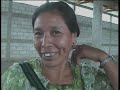 Sobrevivencia en Guatevision