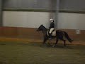 Winpays Galopp