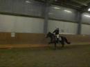Winpays Galopp