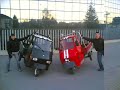 2 teste di cazzo con l\ 2 teste di cazzo con l\
