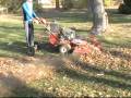 Fall 2008 Yard Cleanup
