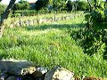 horta da fonte