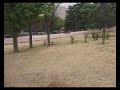 PARQUE DE VALLECAS Y SU ABANDONO