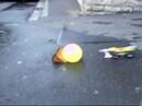 Wasserbombe #2