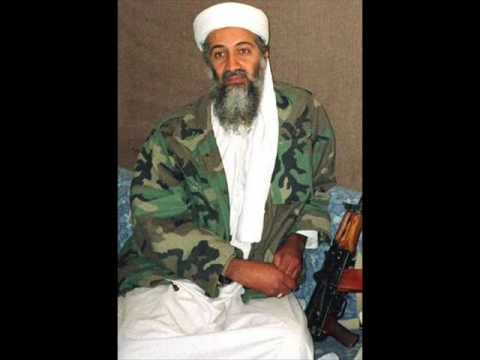 bin laden found bin laden taliban. bombing halts inladen is