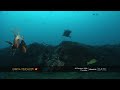 Cardinal fish swarm in the depths