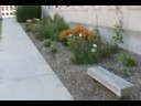 rdale video class special effects 2