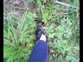 NickJump