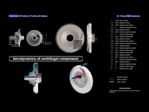 how to get bv under control