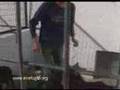 Inyecci�n paralizante muscular para animales