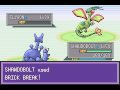 Pokemon Liquid Crystal  walkthrough part 74