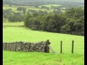 Scotland