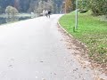 kolesarjenje