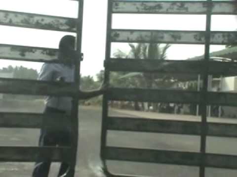 how to export t shirts from india